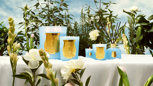TRUDON - Charles Mayer