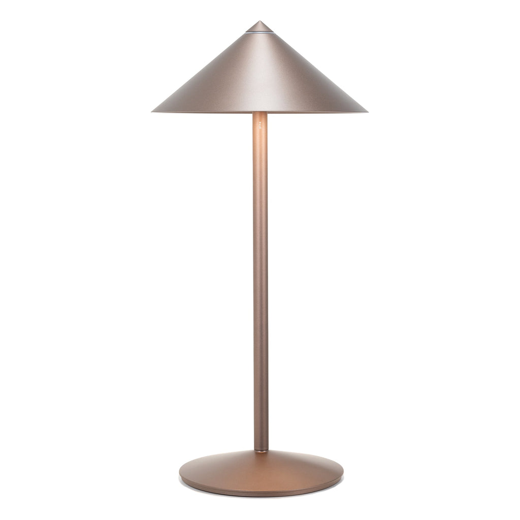 Zafferano Pina L Bronze Desk Lamp - Charles Mayer