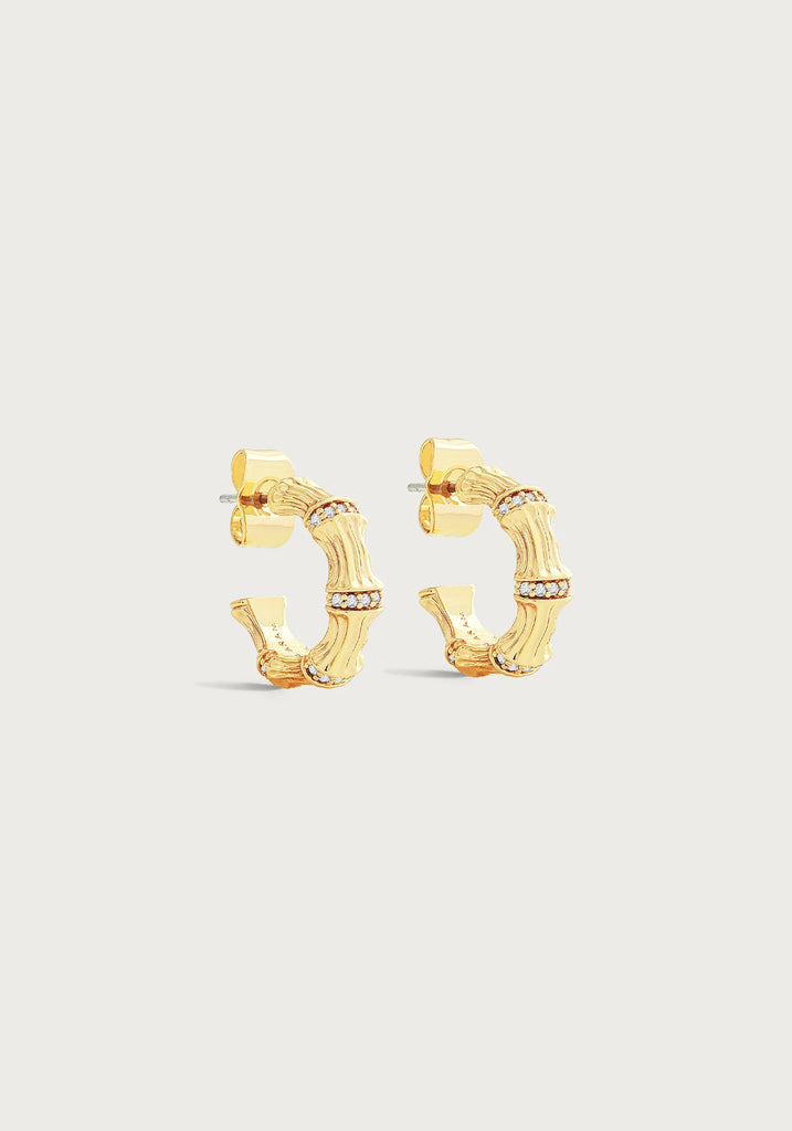 Anabel Aram Bamboo Gold Huggie Earrings - Charles Mayer