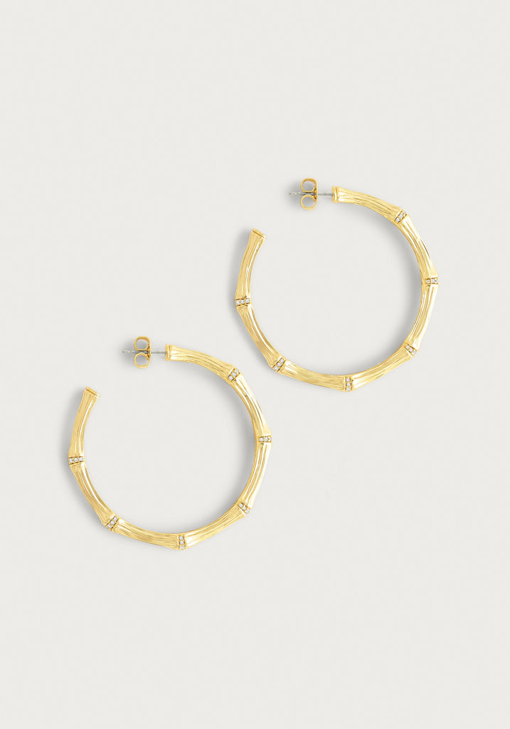 Anabel Aram Gold Large Hoop Earrings - Charles Mayer