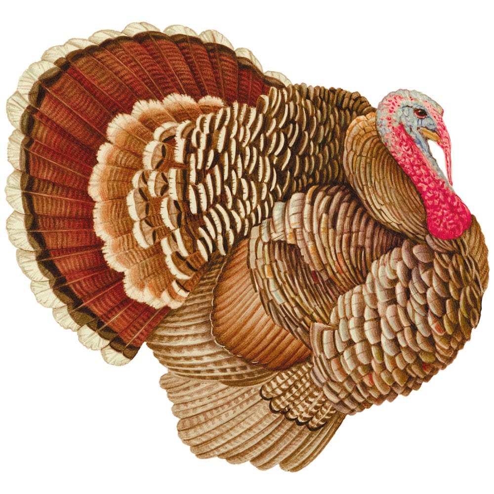 Caspari Turkey Paper Placemats, Set of 12 - Charles Mayer