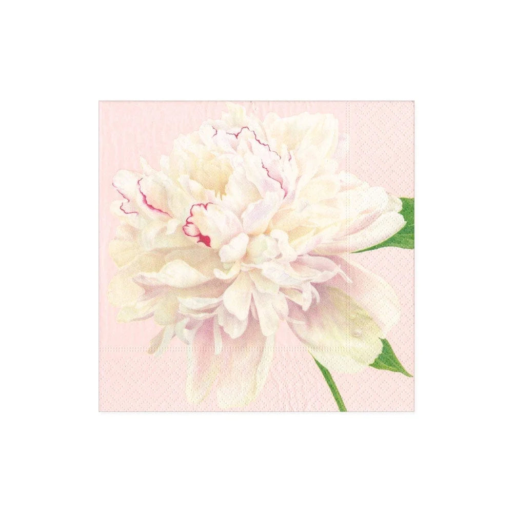 Caspari Duchess Peonies Blush - Charles Mayer
