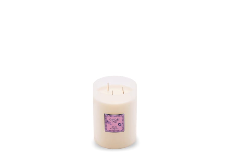 Ginori Azalea Fiori d'Oriente Large Scented Candle - Charles Mayer