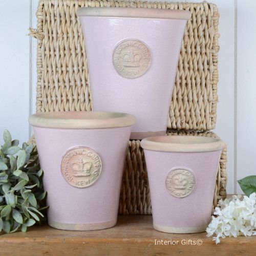 Botanical Collections Small Kew Long Toms Lavender Pot - Charles Mayer