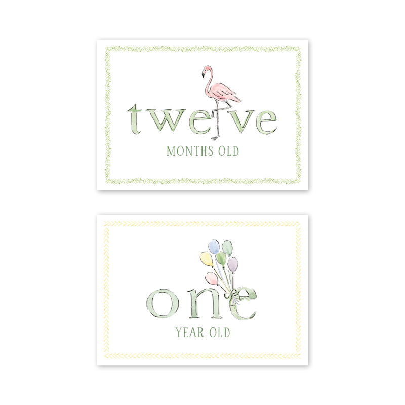 Dogwood Hill Zoo in the City Milestone Cards, Set of 15 - Charles Mayer