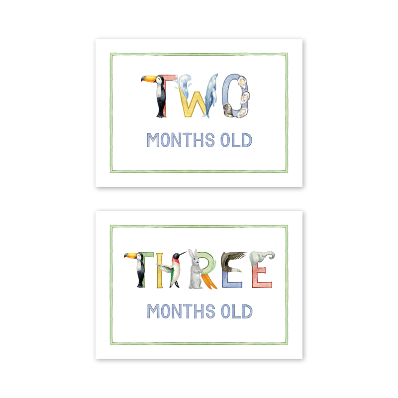 Dogwood Hill Animal Alphabet Milestone Cards, Set of 15 - Charles Mayer
