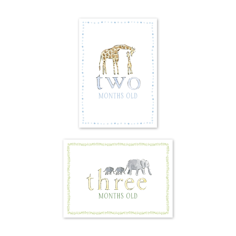 Dogwood Hill Zoo in the City Milestone Cards, Set of 15 - Charles Mayer