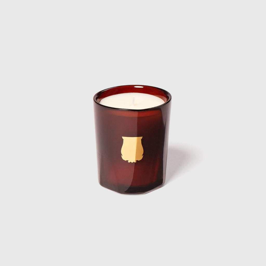 Trudon Beeswax Absolute Petite Candle - Charles Mayer