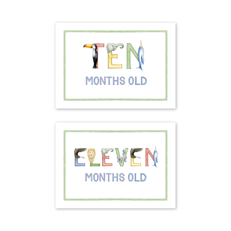 Dogwood Hill Animal Alphabet Milestone Cards, Set of 15 - Charles Mayer