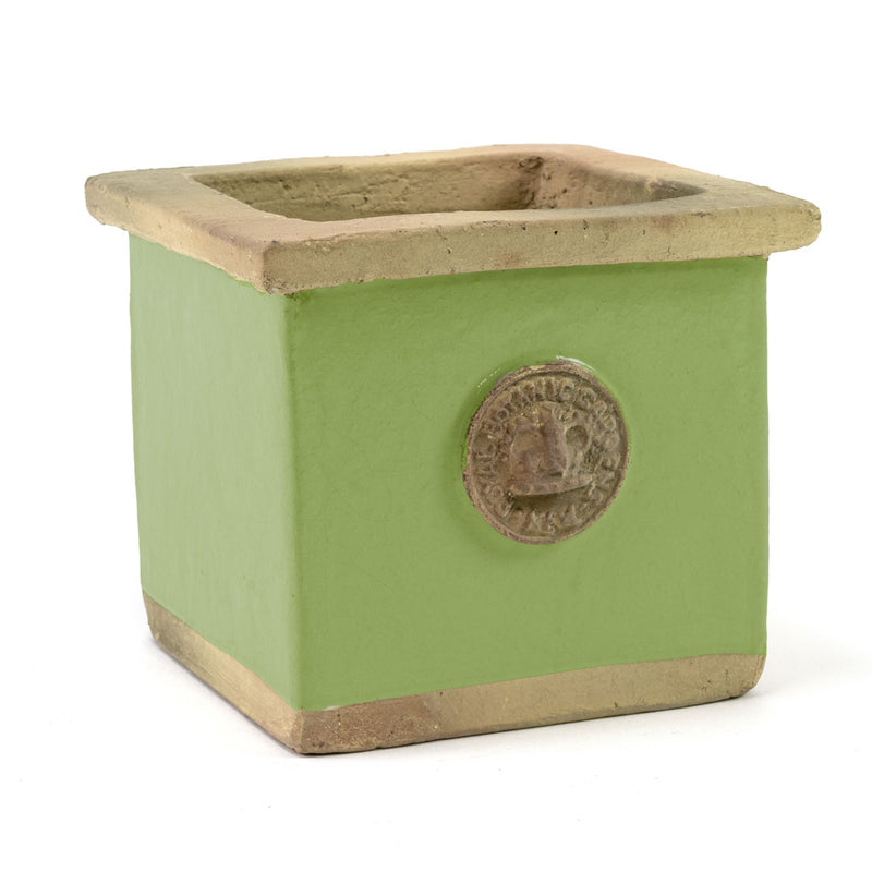 Botanical Collections Lime Kew Square Herb Pot - Charles Mayer