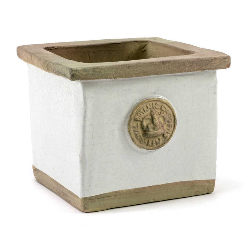 Botanical Collections Cornwall Small Ivory Herb Pot - Charles Mayer