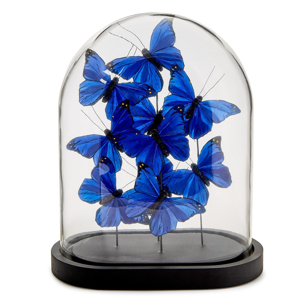 Ultramarine Oval Butterflies in Dome - Charles Mayer