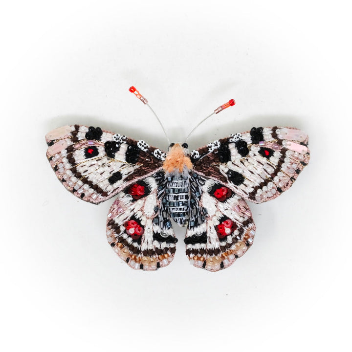 Trovelore False Apollo Butterfly Brooch Pin - Charles Mayer