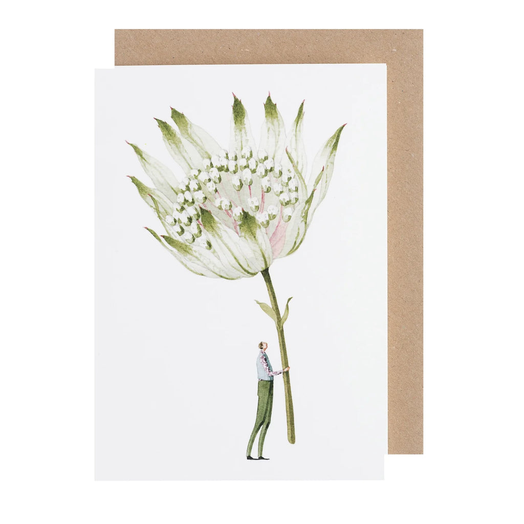 Hester & Cook Astrantia Greeting Carrd - Charles Mayer