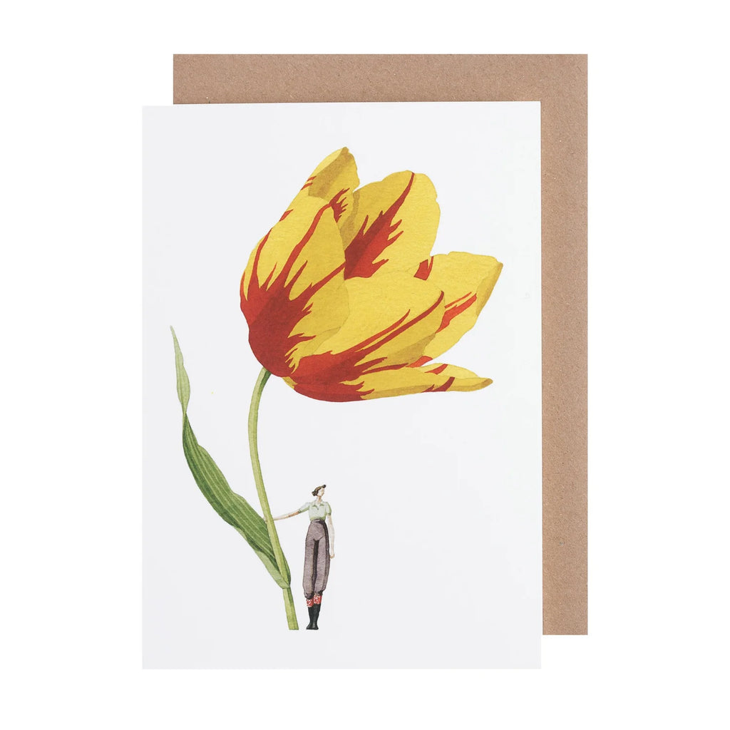 Hester & Cook Tulip Greeting Card - Charles Mayer