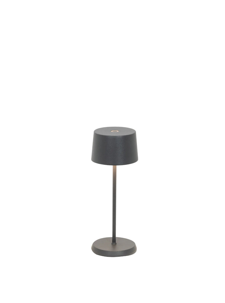 Zafferano Olivia Micro Dark Grey Lamp - Charles Mayer