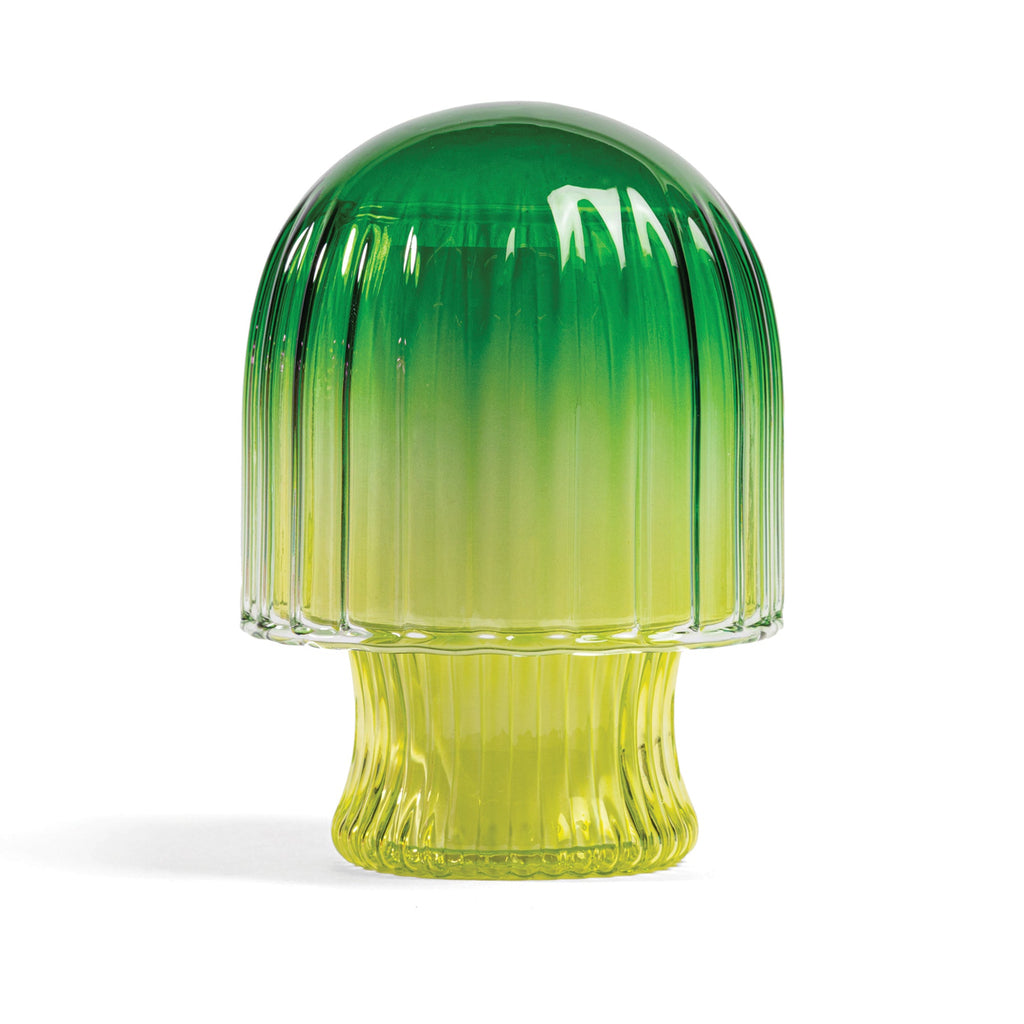 Kala Style Hallo Iceland Moss Mushroom Cloche Candle - Charles Mayer