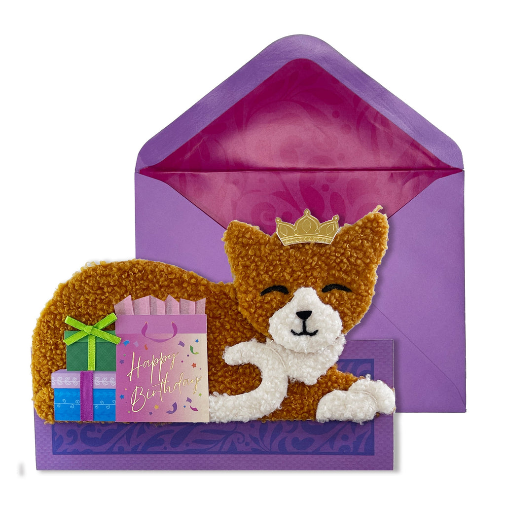 Niquea.D Fuzzy Cat Birthday Card - Charles Mayer