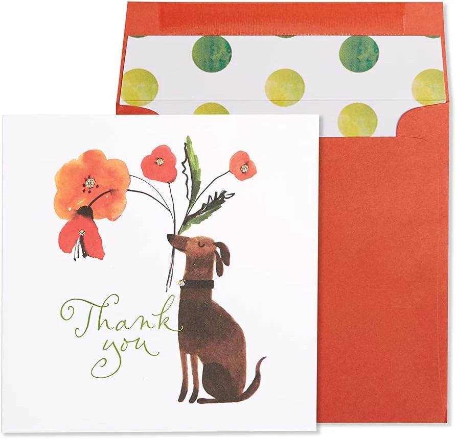 Niquea.D Dog Bringer Thank You Card - Charles Mayer
