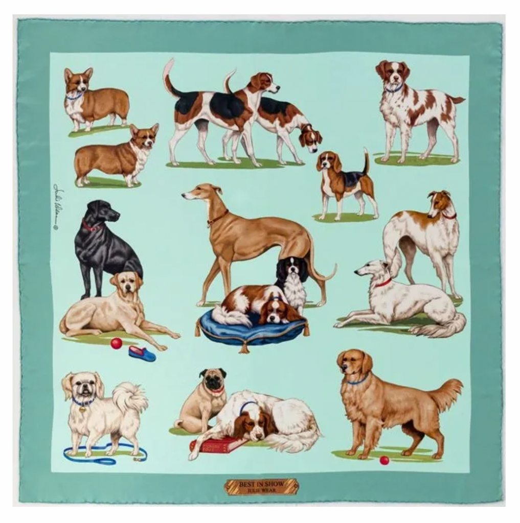 Julie Wear Aquamarine Best in Show 36" Scarf - Charles Mayer
