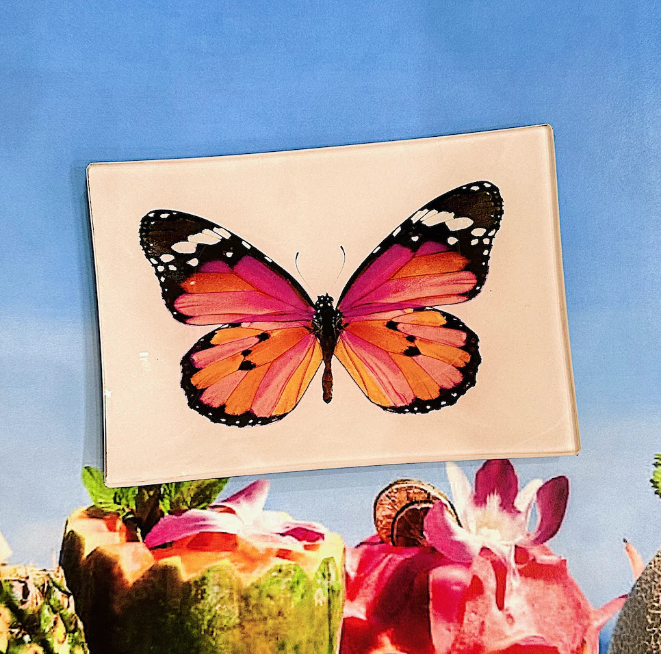 Ben's Garden Pink Butterfly 4*6 Tray - Charles Mayer