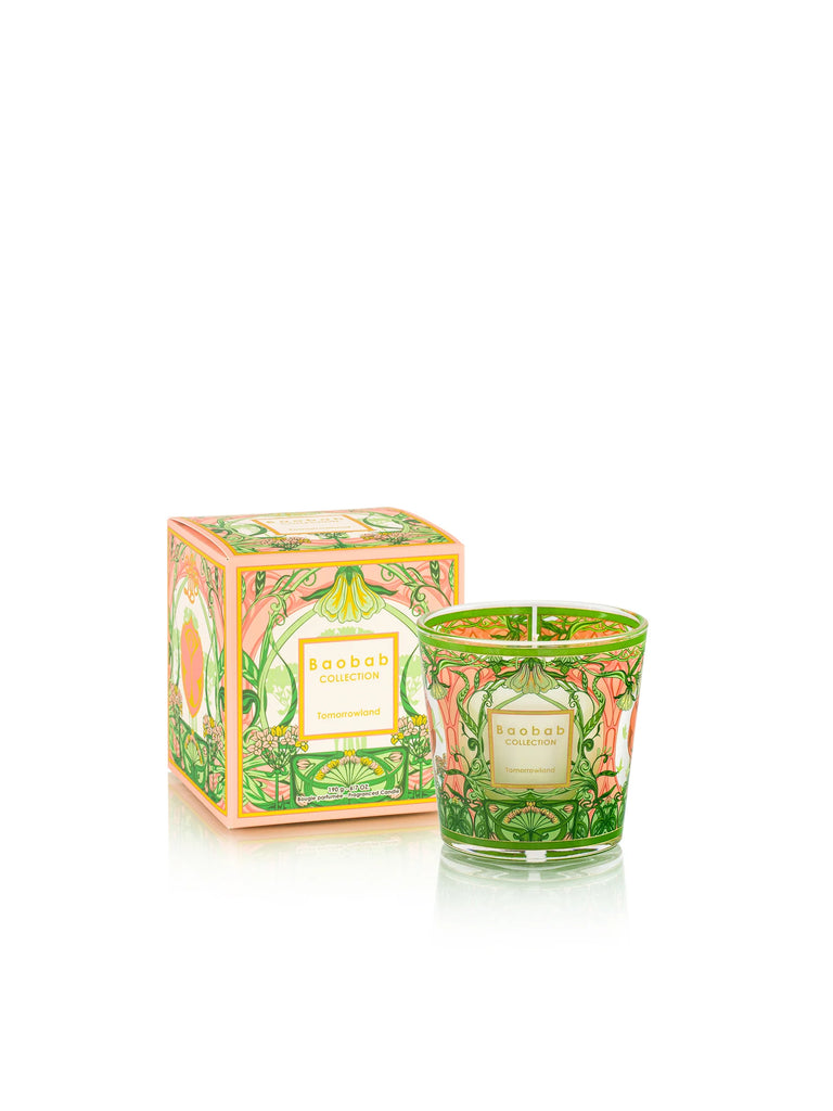 My First Baobab Tomorrowland Candle - Charles Mayer