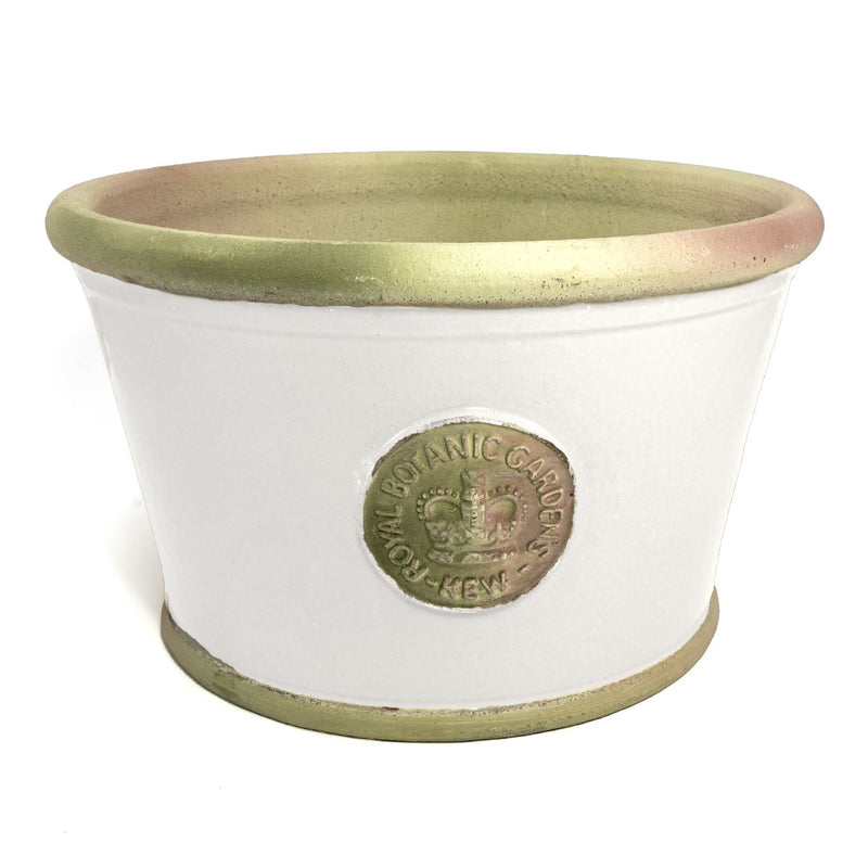 Botanical Collections Windsor Kew Low Large Ivory Pot - Charles Mayer