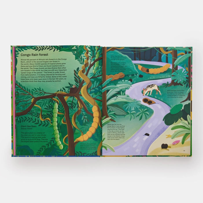 A Home for Every Plant: Wonders of the Botanical World - Charles Mayer