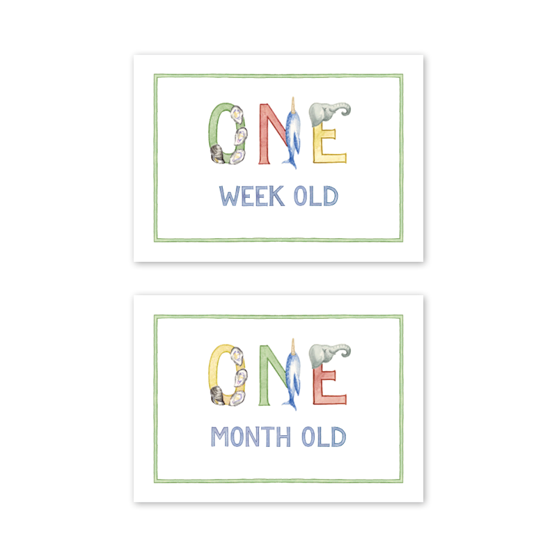 Dogwood Hill Animal Alphabet Milestone Cards, Set of 15 - Charles Mayer