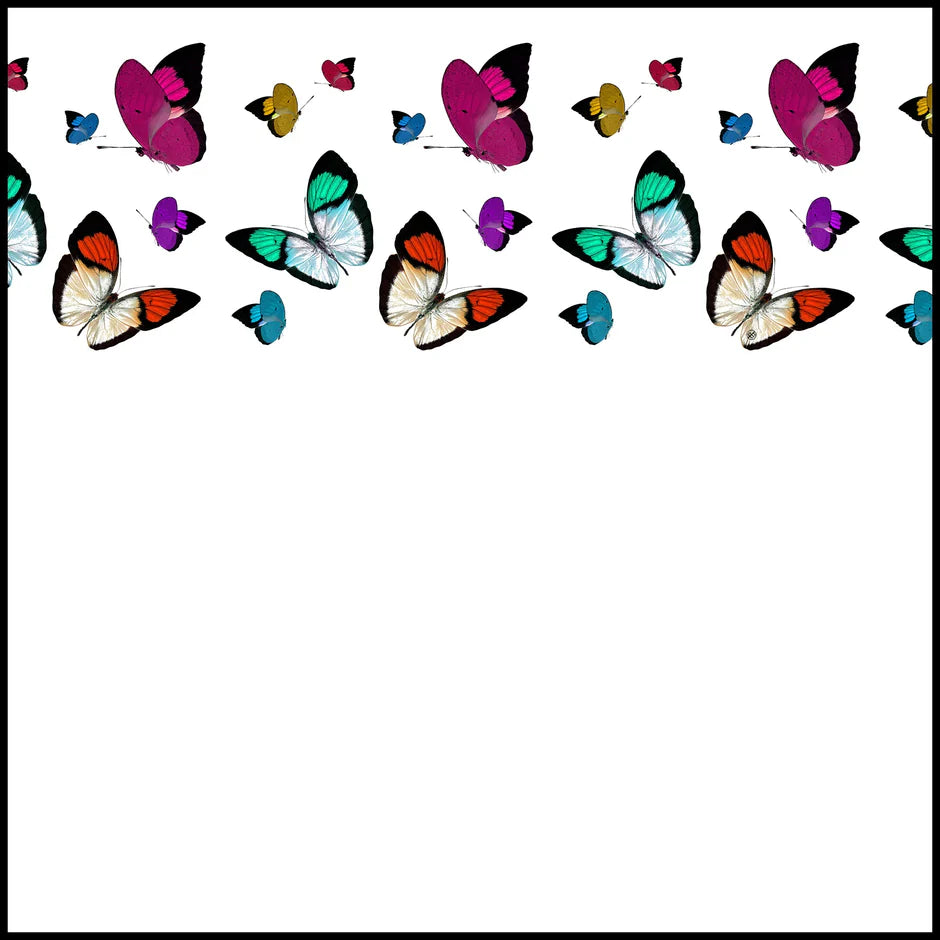 Nicolette Mayer Butterflies Notecards - Charles Mayer