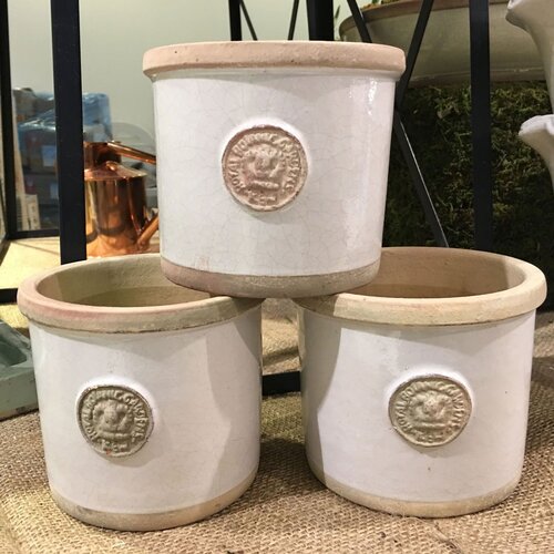 Botanical Collections Chelsea Kew Round Herb Pot, Ivory - Charles Mayer