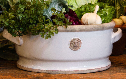 Botanical Collections Essex Kew Low Large Bowl, Old White - Charles Mayer