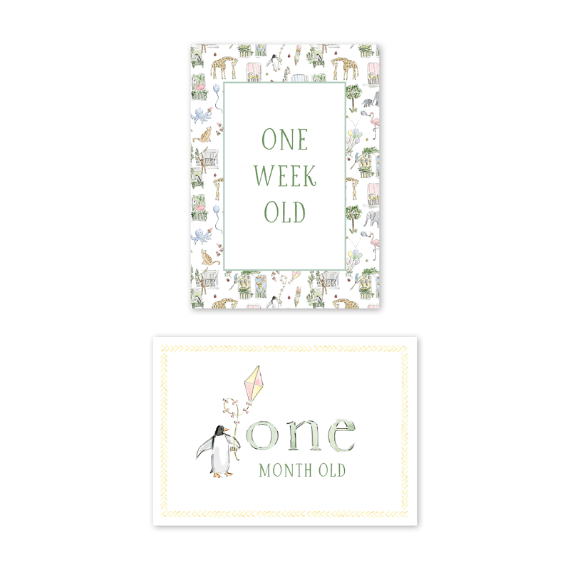 Dogwood Hill Zoo in the City Milestone Cards, Set of 15 - Charles Mayer