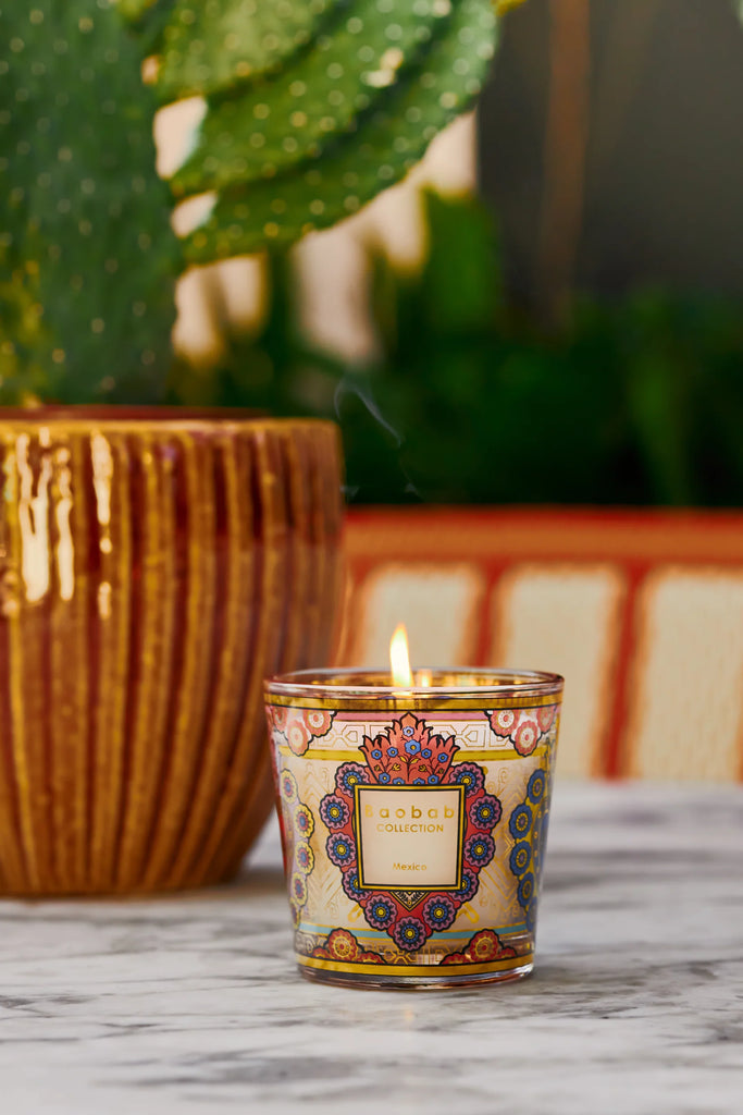 My First Baobab Mexico Candle - Charles Mayer