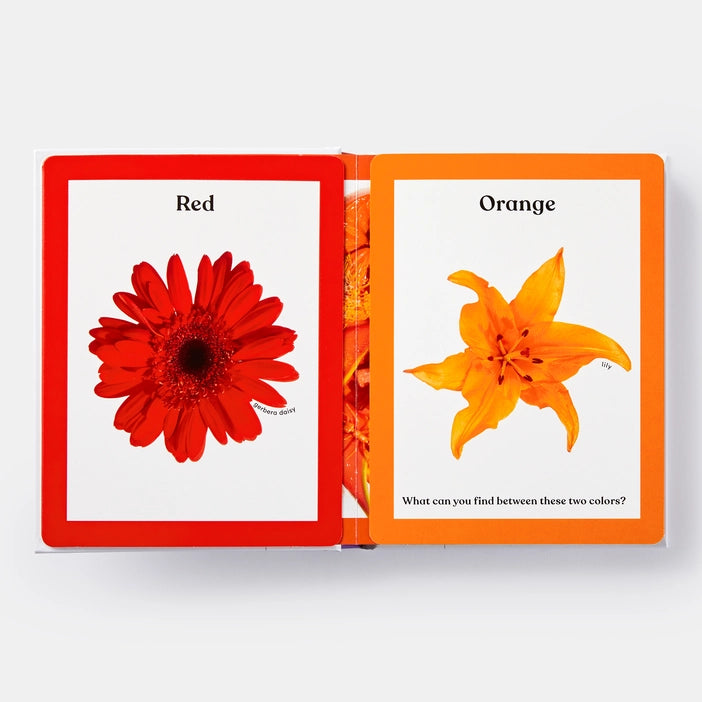 Rainbows in Bloom: Discovering Colors With Flowers - Charles Mayer