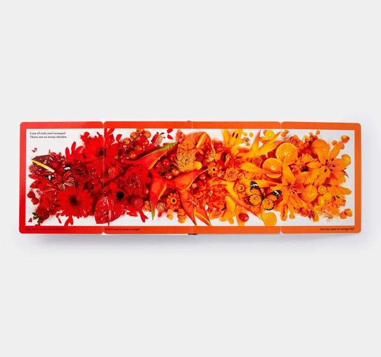 Rainbows in Bloom: Discovering Colors With Flowers - Charles Mayer