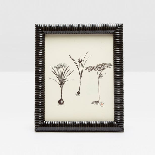 Pigeon And Poodle Metz Black Lacquered 8*10 Frame - Charles Mayer