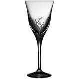 Varga Crystal Coral Water Goblet - Charles Mayer