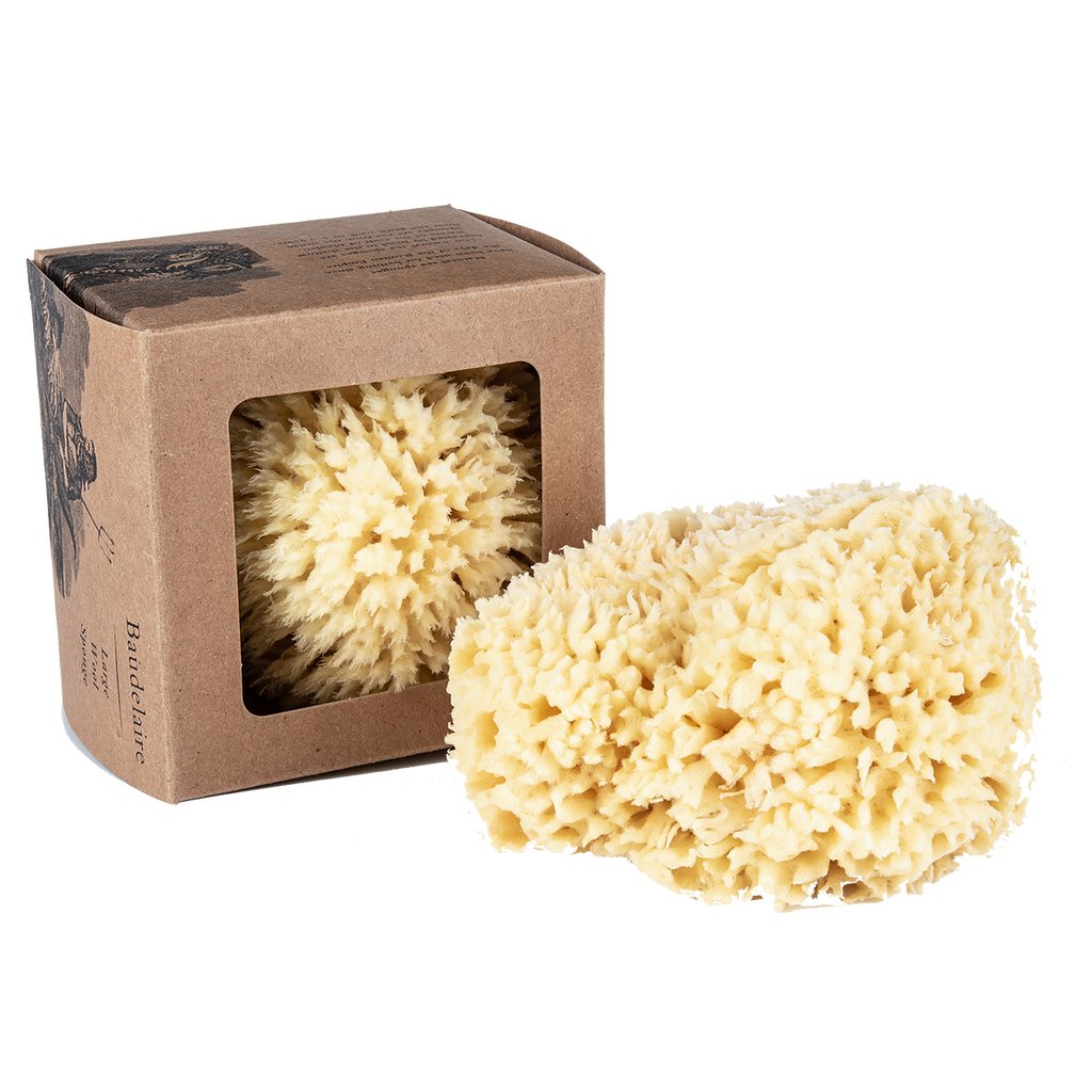 Baudelaire Wool Sea Sponge - Charles Mayer
