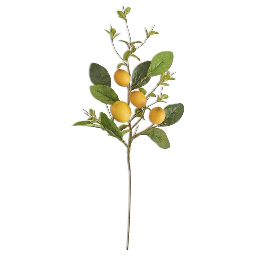 28" Lemon & Foliage Stem - Charles Mayer