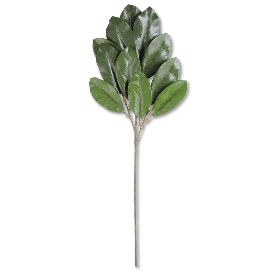 30" Green Magnolia Spray - Charles Mayer