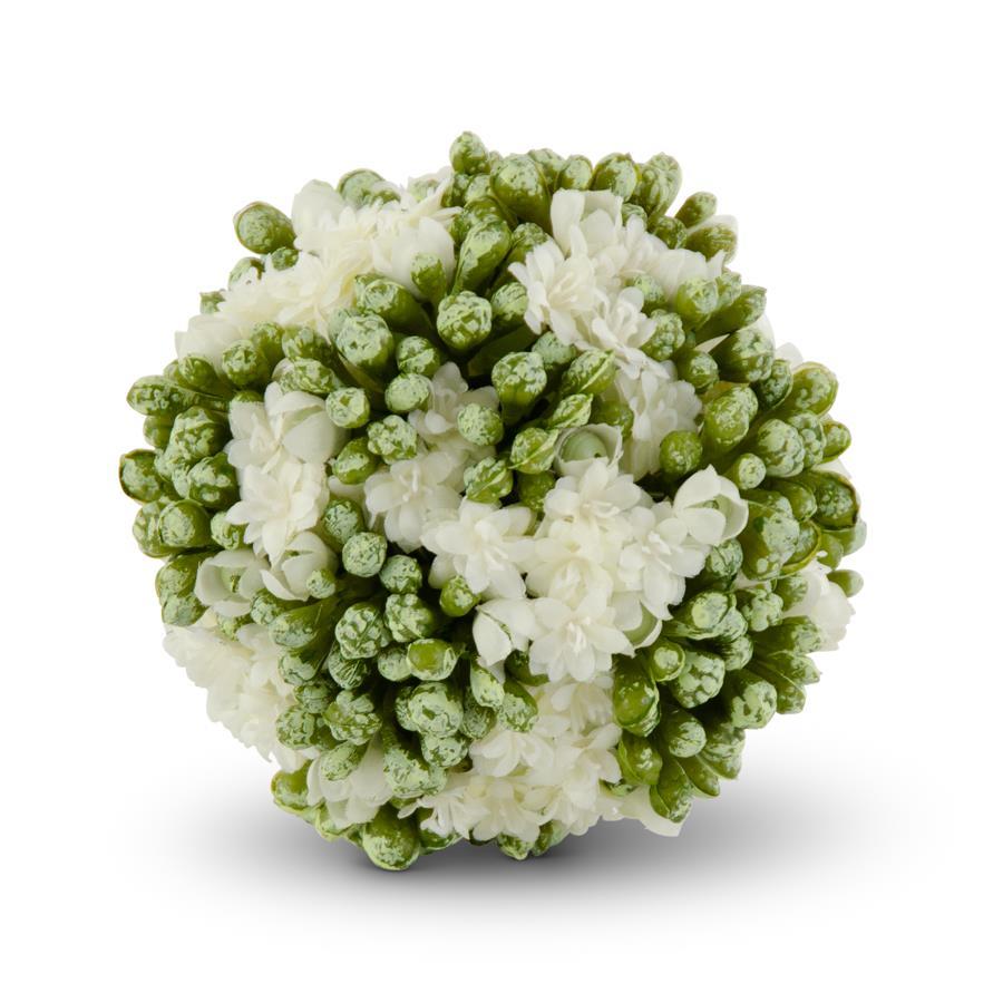 White 4" Kalanchoe Ball - Charles Mayer