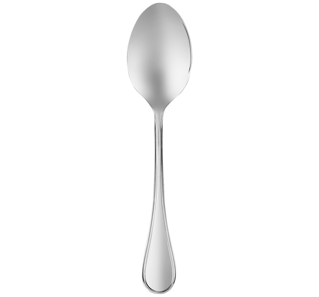 Christofle Albi Stainless Serving Spoon - Charles Mayer