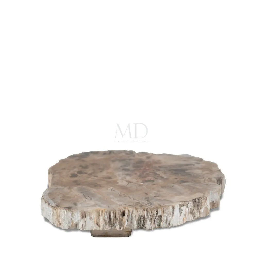 Montes Doggett Live Edge Petrified Wood Trivet - Charles Mayer