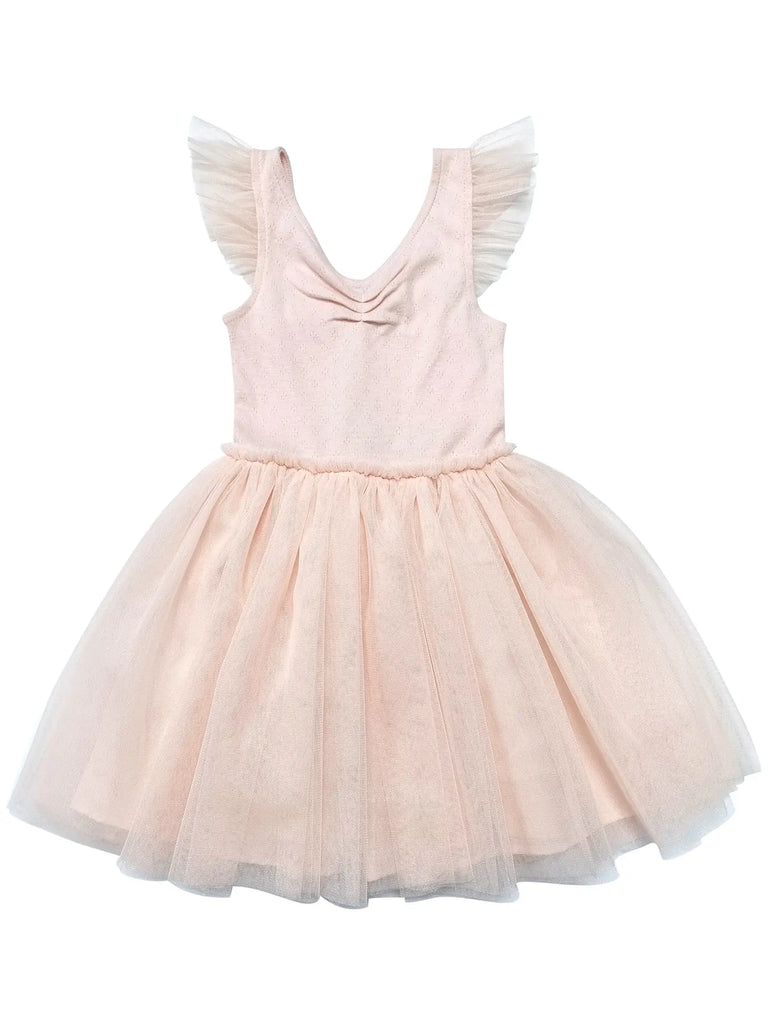 Albetta Blush Pointelle Ballerina dress - Charles Mayer