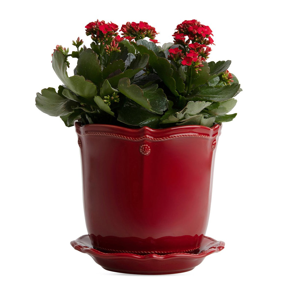 Juliska Berry & Thread Ruby 5.25" Planter W/Saucer - Charles Mayer