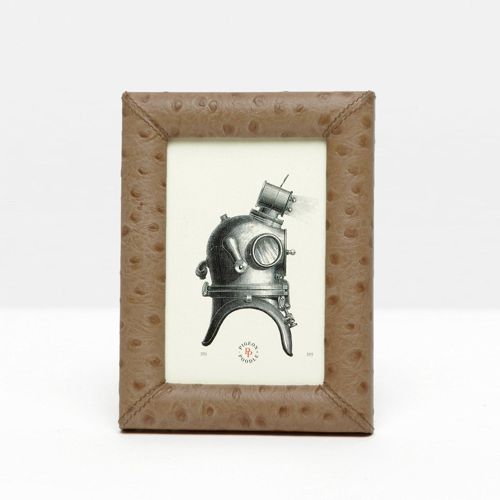 Pigeon And Poodle Witney 4*6 Oat Brown Ostrich Frame - Charles Mayer