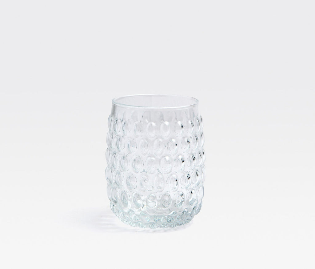 Blue Pheasant Claire Clear Tumbler - Charles Mayer