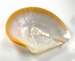 Jws Collections Mother Of Pearl Caviar Dish & Spoon - Charles Mayer